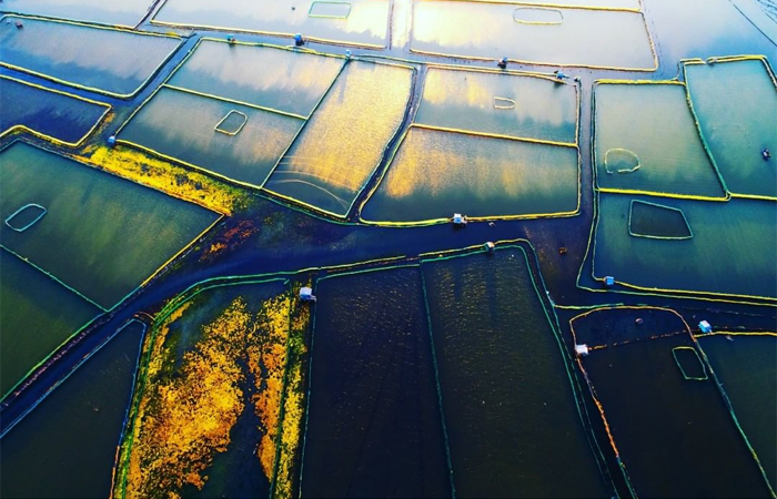 Thong dong ngắm bình minh và hoàng hôn đẹp mê ly tại đệ nhất thắng cảnh Phú Yên - 4