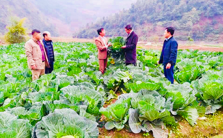 Luật Hợp tác xã năm 2012: Những ý kiến góp ý sửa đổi tâm huyết từ địa phương - 1