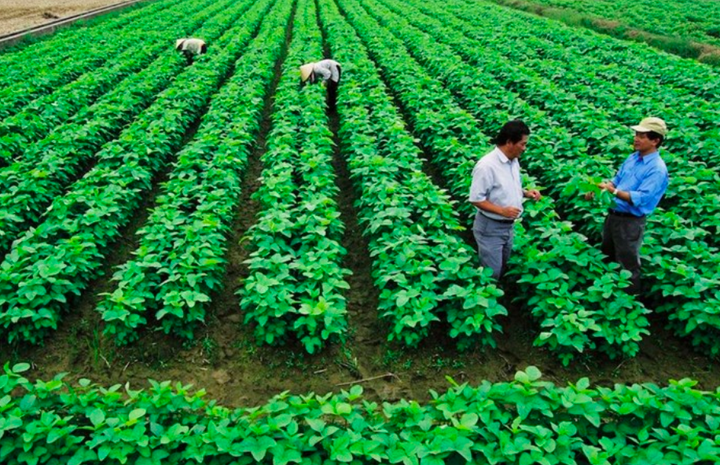 Luật Hợp tác xã năm 2012: Những ý kiến góp ý sửa đổi tâm huyết từ địa phương - 3