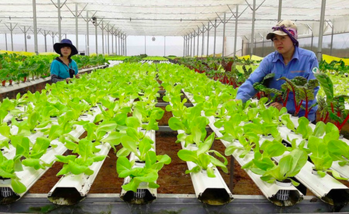 11 góp ý thực tiễn về sửa đổi Luật HTX 2012 đối với phát triển Kinh tế Tập thể - 1