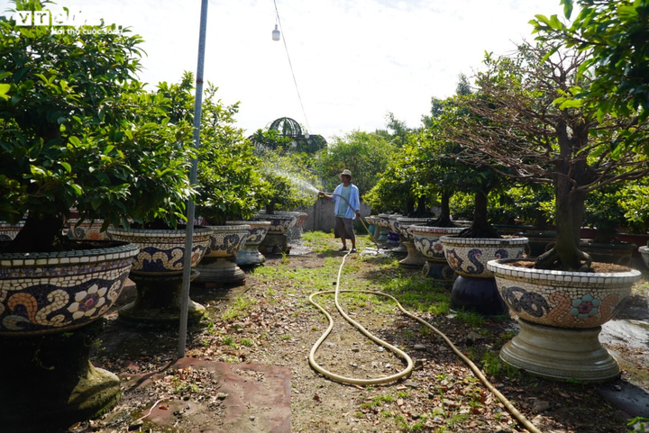 Nhiều nhà vườn làng mai Thủ Đức dự tính không thuê điểm bán, đẩy mạnh bán online - 1