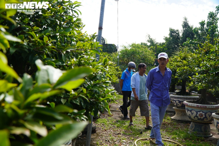 Nhiều nhà vườn làng mai Thủ Đức dự tính không thuê điểm bán, đẩy mạnh bán online - 10