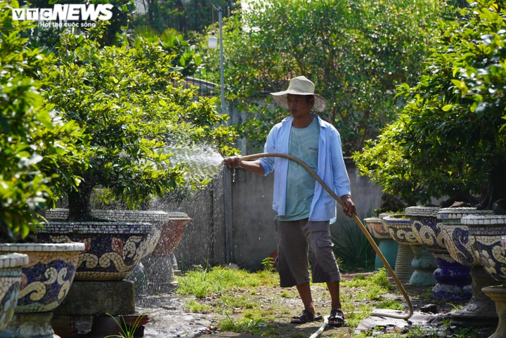 Nhiều nhà vườn làng mai Thủ Đức dự tính không thuê điểm bán, đẩy mạnh bán online - 7