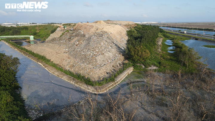 Rừng phòng hộ đang xanh tốt bỗng chết khô ở Hải Phòng: Ai chịu trách nhiệm? - 4