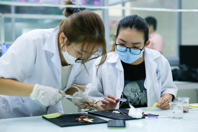 Những trường đại học ở TP.HCM tuyển sinh ngành mới - 1