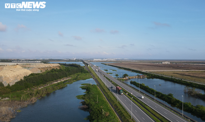 Cận cảnh cánh rừng phòng hộ ‘chết oan’ ở Hải Phòng - 14