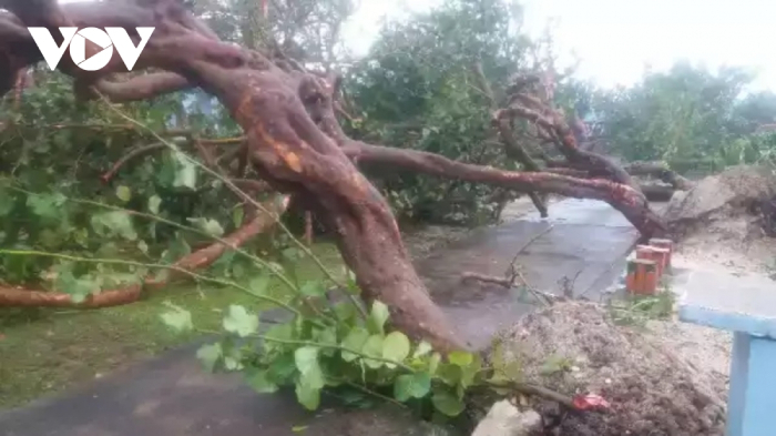 Bão số 9 đổ bộ gây thiệt hại trên các đảo ở Trường Sa - 3