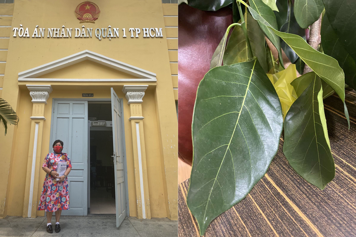 Doanh nhân Lê Thị Giàu kiện bà Nguyễn Phương Hằng: TAND quận 1 ra thông báo mới - 2