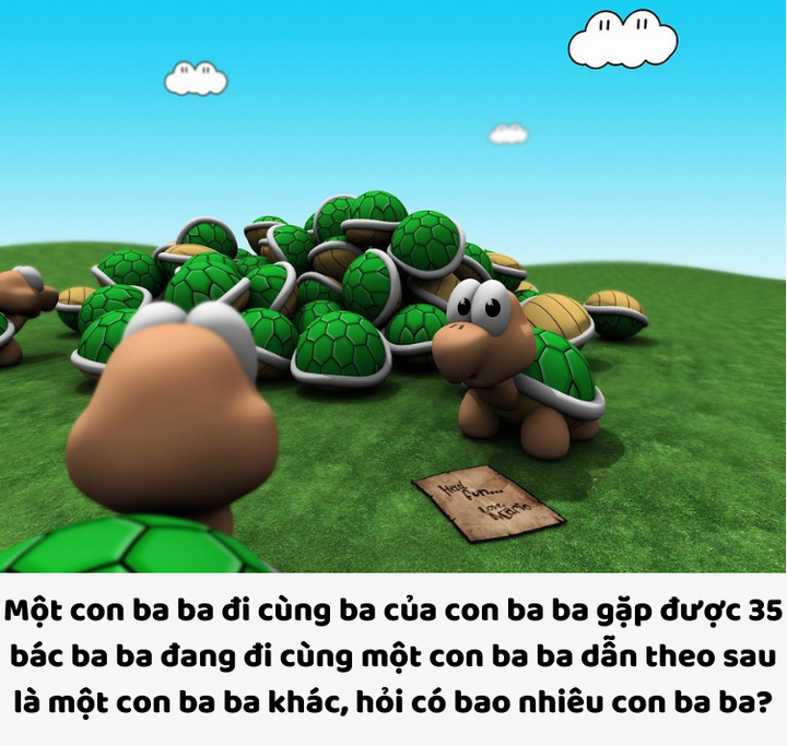 Câu đó gây điên đầu: Có bao nhiêu con ba ba? - 1