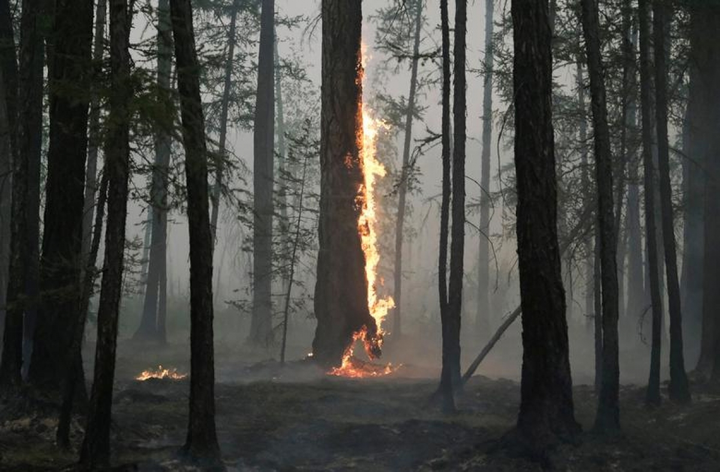 Sự tàn khốc của các thảm họa tự nhiên trong năm 2021 qua ảnh - 14