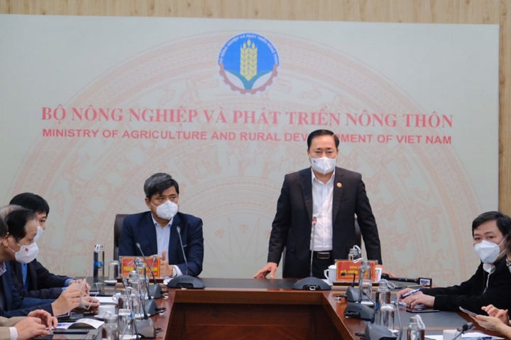 4.598 xe hàng hoá, nông sản chờ thông quan tại các cửa khẩu ở Lạng Sơn - 1