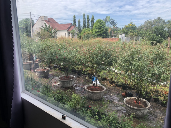 9X từng bóc mít thuê trở thành chủ vườn hồng 'đẹp như cổ tích' ở tuổi 26 - 8