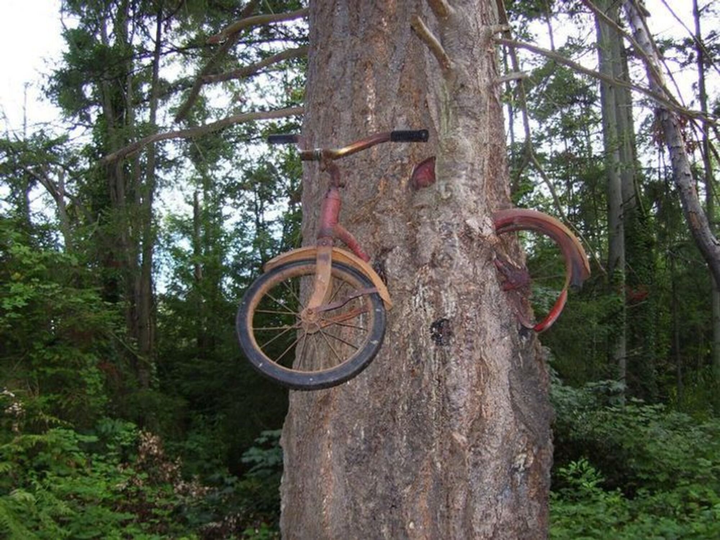 Tầm 'IQ vô cực' cũng khó mà hiểu được những khoảnh khắc lạ đời hiếm thấy này - 1