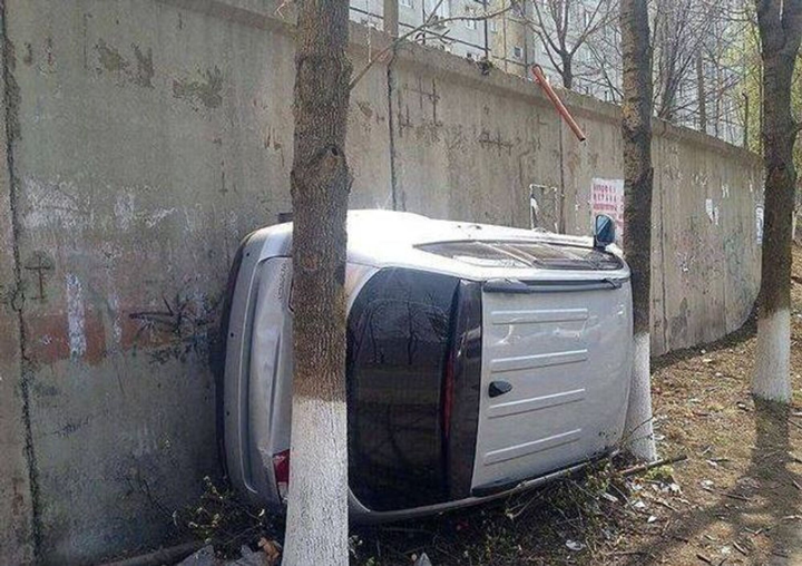 Tầm 'IQ vô cực' cũng khó mà hiểu được những khoảnh khắc lạ đời hiếm thấy này - 8