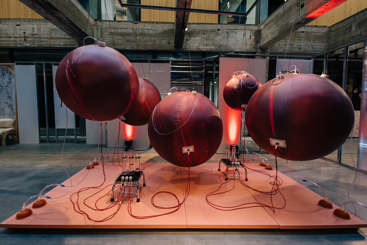 Không cần ‘mang nặng đẻ đau’, phụ nữ sẽ có máy ‘sinh’ con thay trong tương lai? - 1