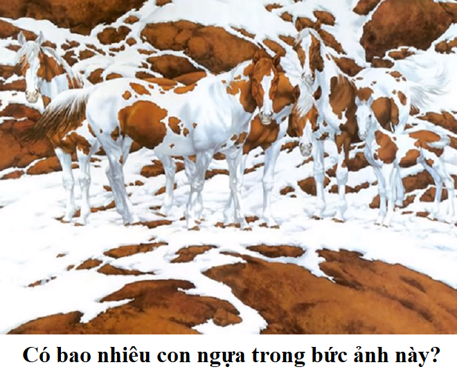 Có bao nhiêu con ngựa trong bức hình này? - 1