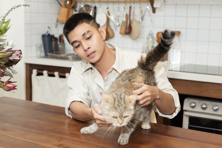 Jun Phạm: 'Tôi hơi thực dụng về khoản tiền bạc' - 4