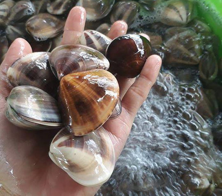 Cháo ngao - món ăn dung dị mà bổ dưỡng, thổi bay cái lạnh mùa đông - 3