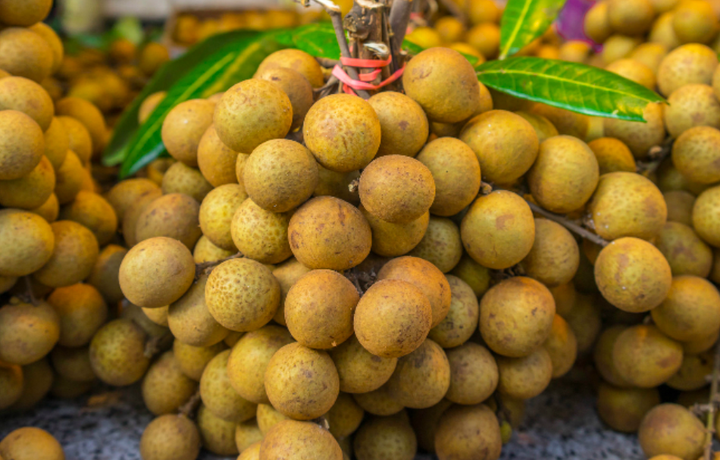 HTX Ngọc Lan: Mô hình trồng cây ăn quả đạt chuẩn xuất khẩu có tiềm năng lớn - 3