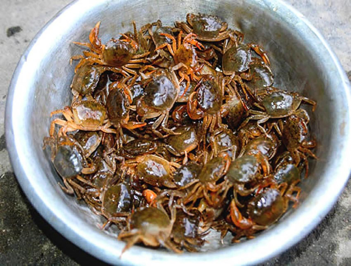 Mắm đam - món ăn lạ mà quen, ai về miền Trung nhất định phải thử một lần - 1