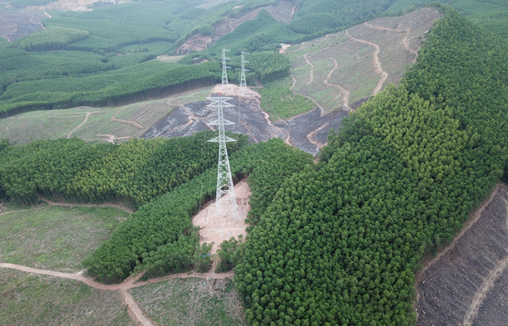 Tách vận hành một số đường dây 500kV trục Bắc-Nam - 1