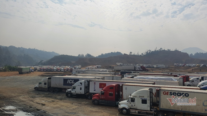 Tắc hàng xuất khẩu sang Trung Quốc: Tập thể chuyên gia gửi văn bản lên Thủ tướng - 1