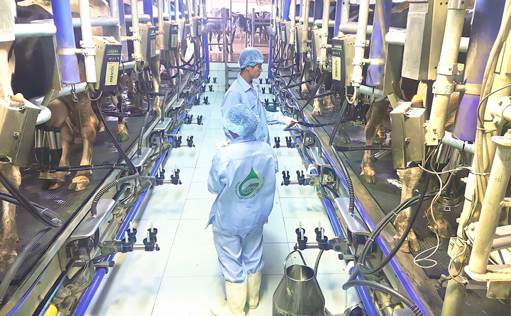 10 năm triển khai Luật HTX: Hà Nội sở hữu 1.182 mô hình KTTT hoạt động hiệu quả - 1