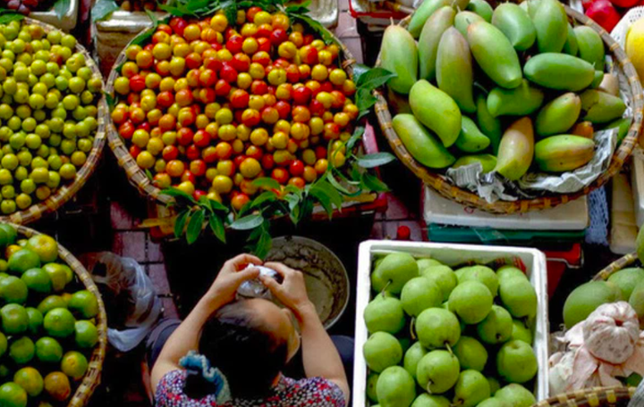 HTX TMDV Phương Lâm-Đồng Nai: Nâng cao hiệu quả kinh doanh từ hợp tác, liên kết - 1