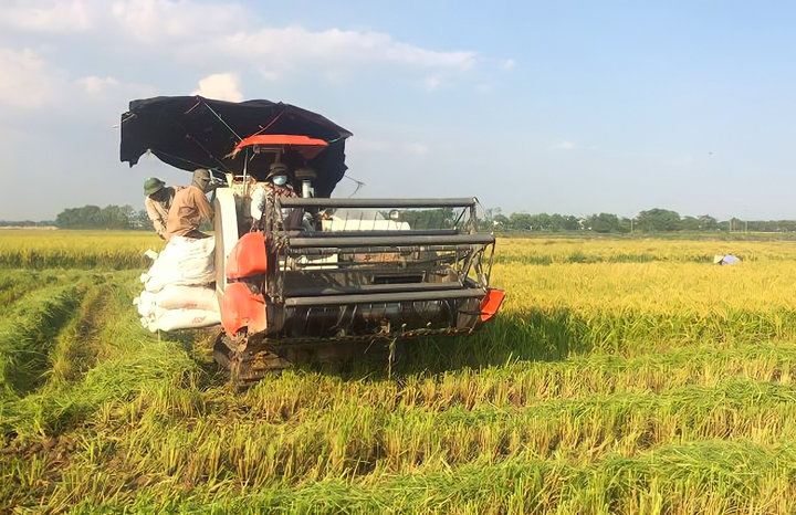 HTX Nông nghiệp ở Thủ đô: Giải pháp đồng bộ cho bài toán quỹ đất, giảm khó khăn - 1