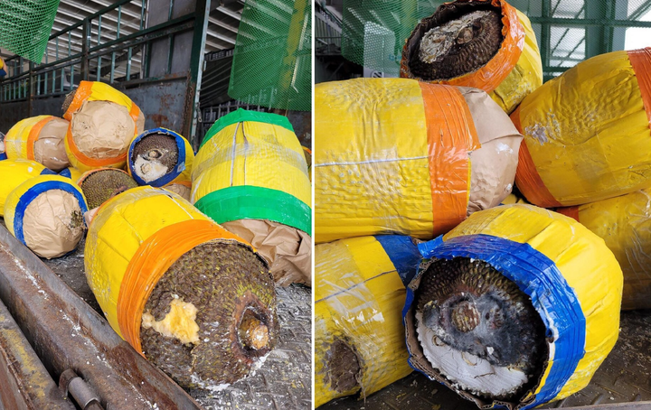 Cửa khẩu Chi Ma thông quan nhỏ giọt, hàng có thể tồn đến sau Tết Nguyên đán - 2