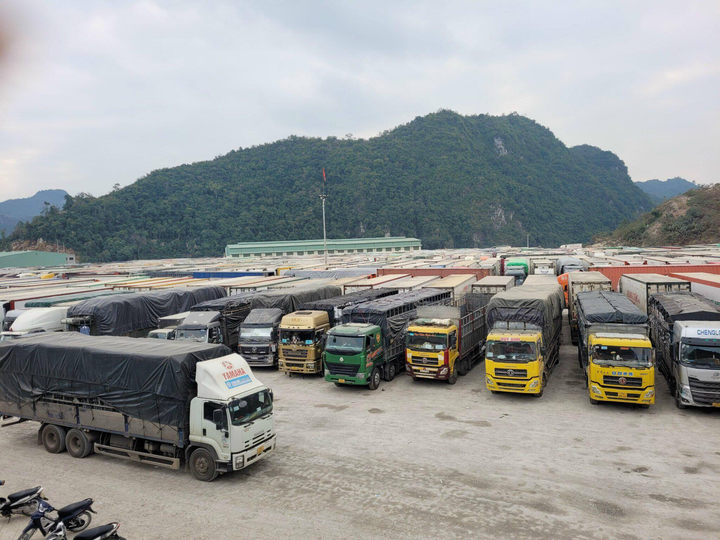Cửa khẩu Chi Ma thông quan nhỏ giọt, hàng có thể tồn đến sau Tết Nguyên đán - 1