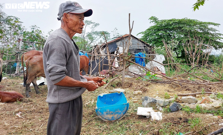Ảnh: Hàng trăm hộ dân sống lay lắt trong khu ổ chuột ở Đà Nẵng vì quy hoạch treo - 7