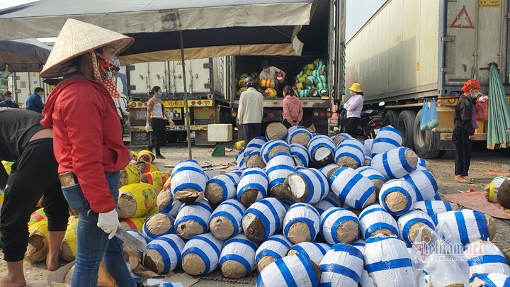 Trăm nghìn tấn trái cây ùn ứ cửa khẩu, 'biển' mít được đổ ra bán tháo - 9