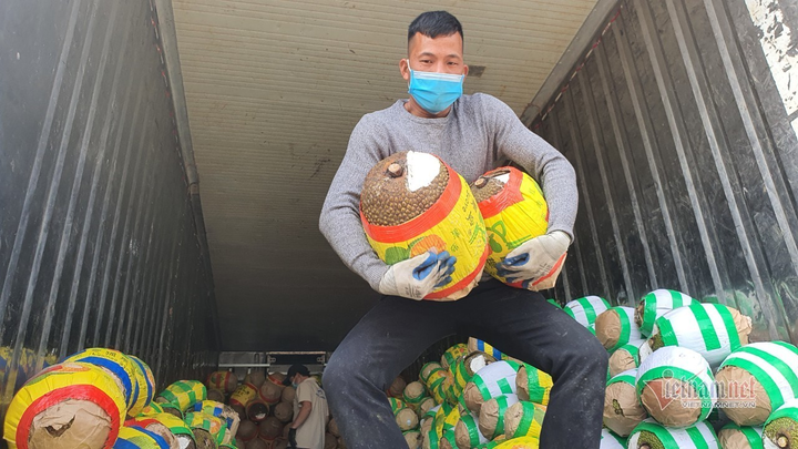 Trăm nghìn tấn trái cây ùn ứ cửa khẩu, 'biển' mít được đổ ra bán tháo - 5