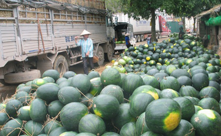 Hàng nghìn xe hàng tắc ở biên giới: Thiệt hại có thể lên tới 4.000 tỷ đồng - 3