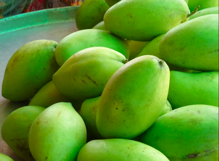 HTX Hòa Lộc-Tiền Giang: Sản xuất sạch ở mọi khâu để xoài cát đạt chất lượng cao - 1