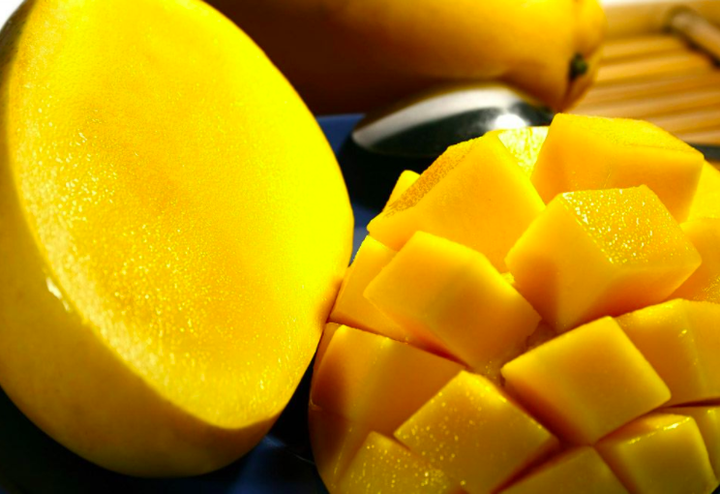 HTX Hòa Lộc-Tiền Giang: Sản xuất sạch ở mọi khâu để xoài cát đạt chất lượng cao - 2