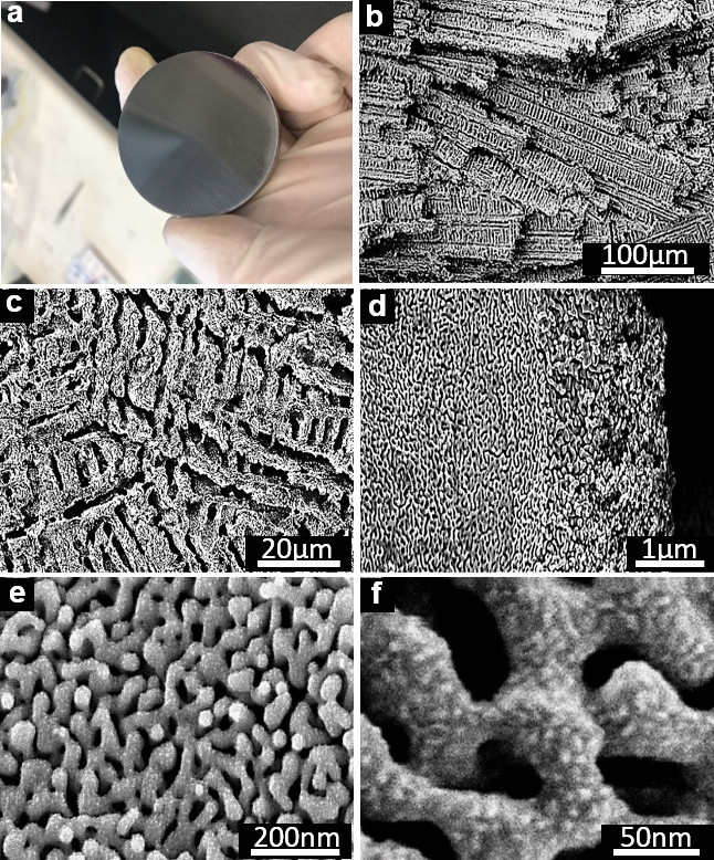 Tiến sĩ người Việt chế tạo vật liệu diệt vi khuẩn nhanh gấp 120 lần - 2