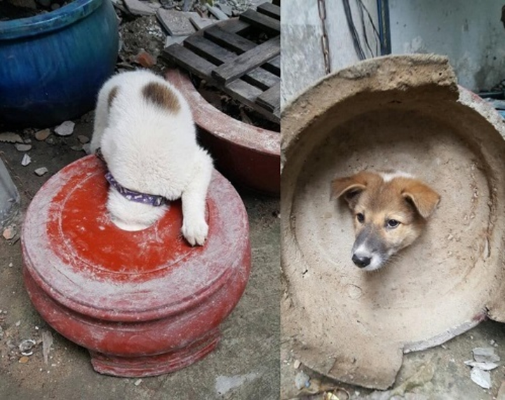 Bức ảnh phát ra tiếng thét vì màn 'tự hủy' quá 'out trình' của nhân vật chính - 8