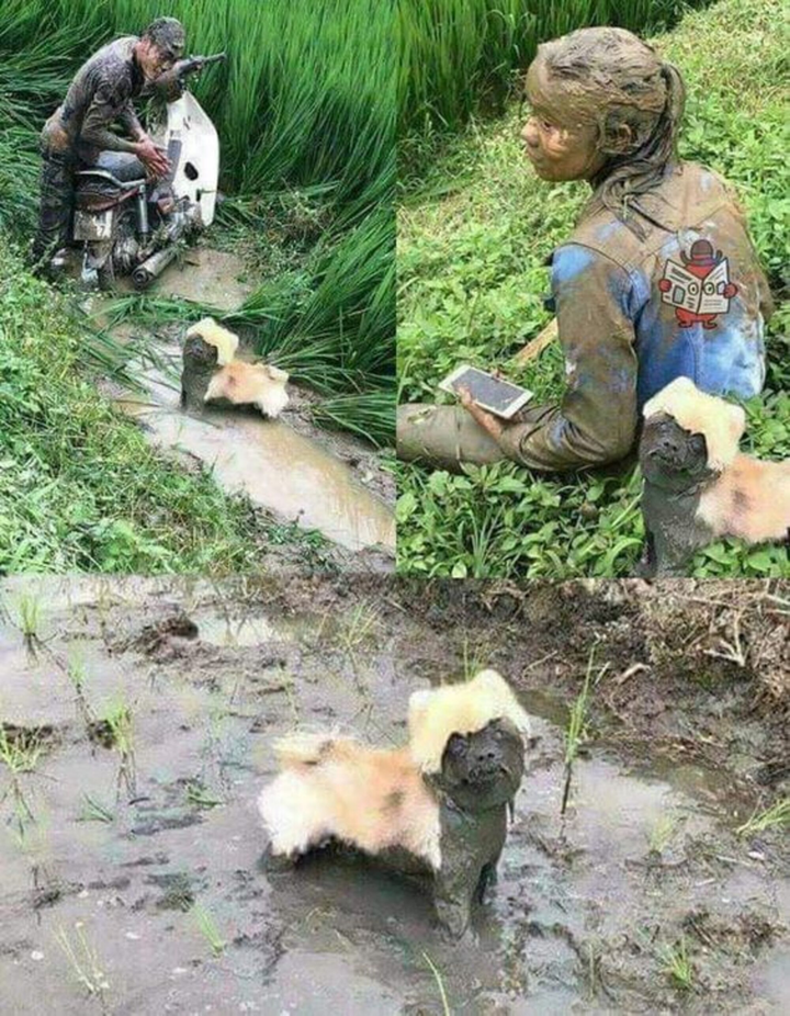 Bức ảnh phát ra tiếng thét vì màn 'tự hủy' quá 'out trình' của nhân vật chính - 2