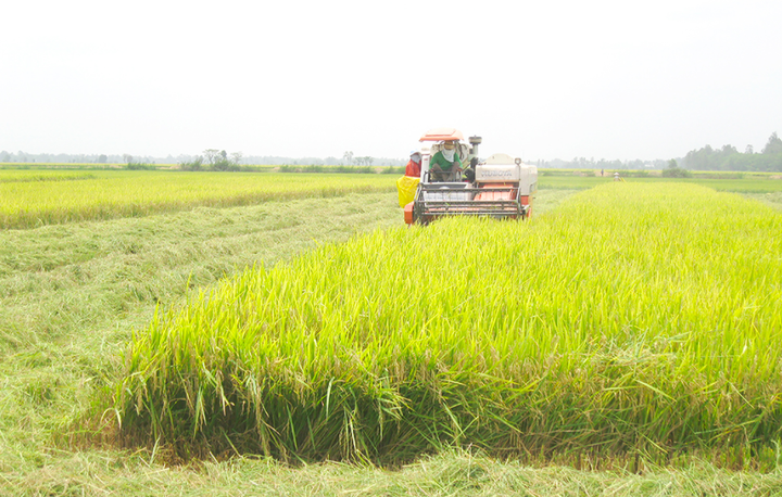 HTX Hợp Tiến: Thành công nhờ sáng tạo trong sản xuất, ổn định đầu ra sản phẩm - 2