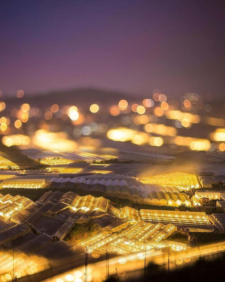 Có một ‘kinh đô ánh sáng’ ở Đà Lạt về đêm, lung linh mà yên bình vô cùng - 6