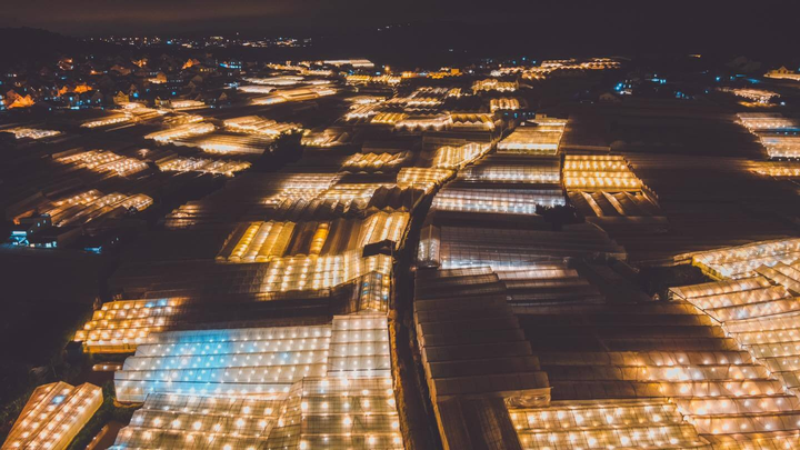 Có một ‘kinh đô ánh sáng’ ở Đà Lạt về đêm, lung linh mà yên bình vô cùng - 3