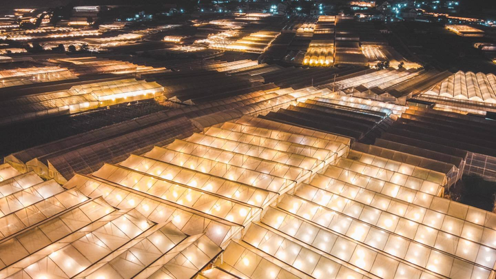 Có một ‘kinh đô ánh sáng’ ở Đà Lạt về đêm, lung linh mà yên bình vô cùng - 5