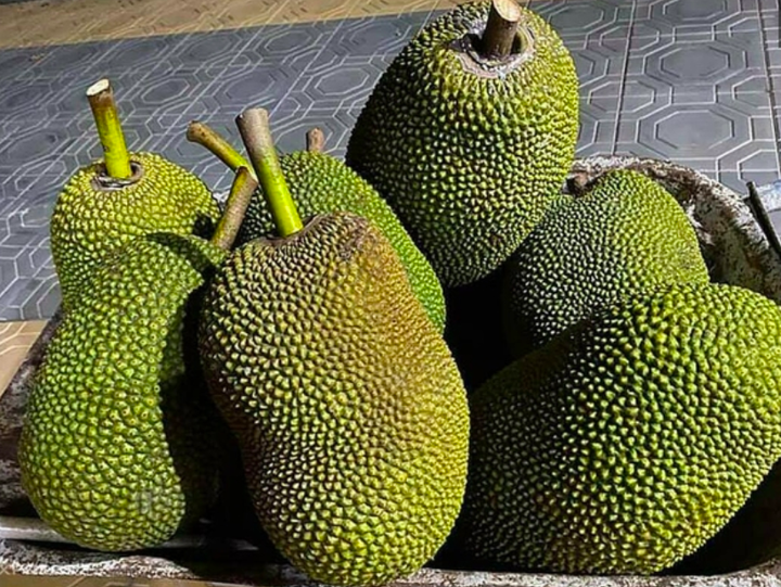 HTX Thái Thanh-Cần Thơ: Đầu tư vào trồng cây ăn trái chất lượng cao để xuất khẩu - 2