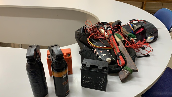 4 thanh niên trộm 1.200 con chó ở TP.HCM - 2