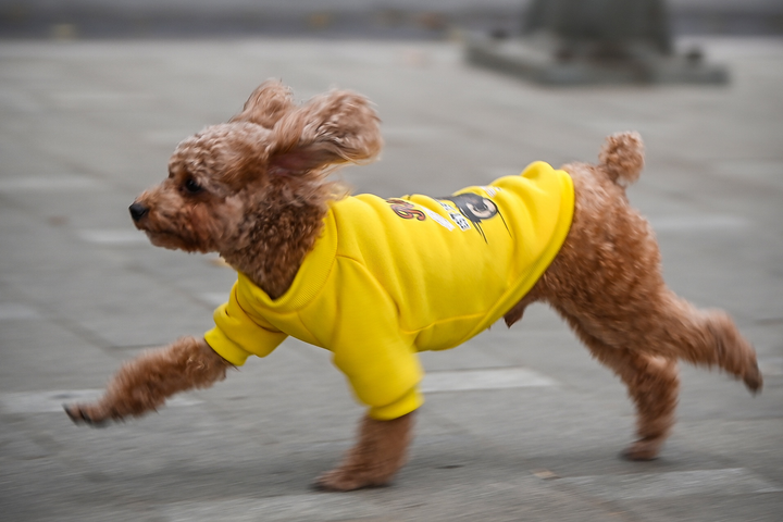 Ảnh: Người Hà Nội đốt lửa sưởi ấm trong đợt rét nhất từ đầu đông - 8