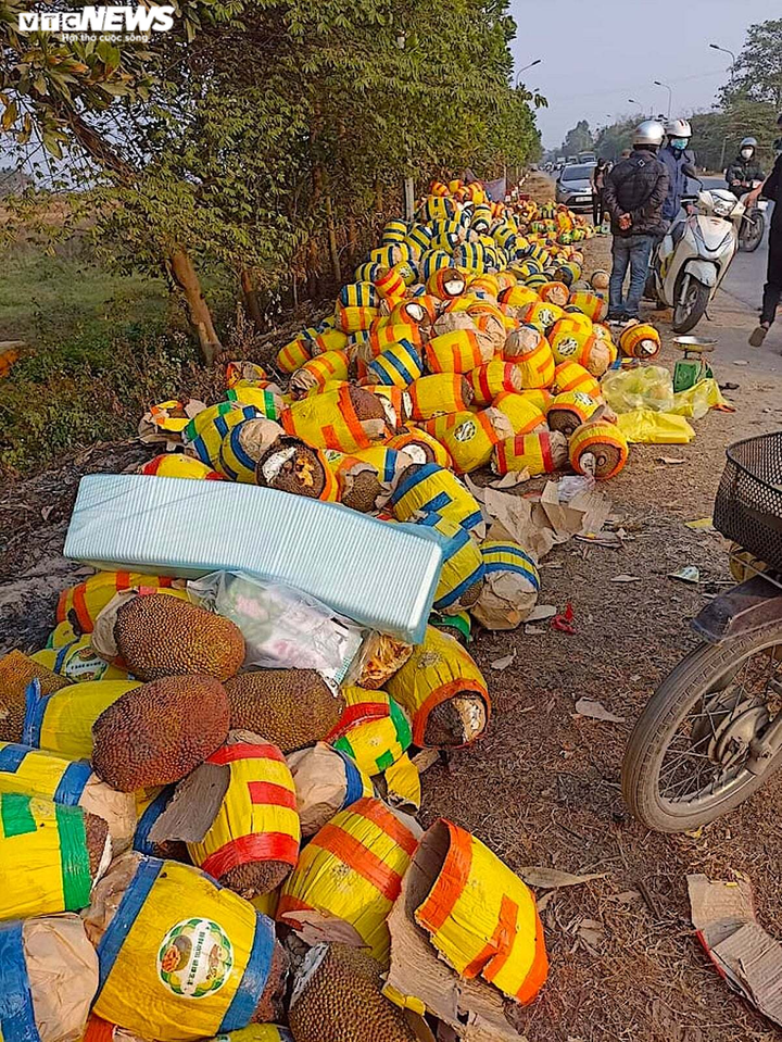 Mít bị tắc ở cửa khẩu quay về bán đổ đống tại Hà Nội, giá 10.000 đồng/kg - 2