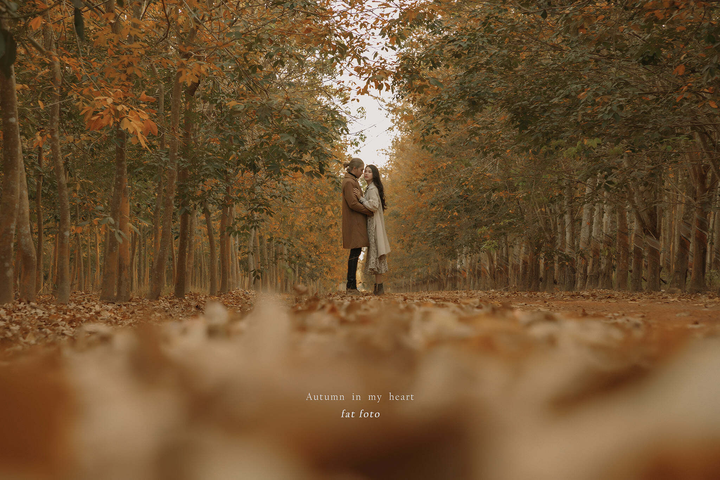 Cần gì đi Hàn, sát Sài Gòn cũng có nơi check-in lá vàng lãng mạn ‘rụng tim’ - 4