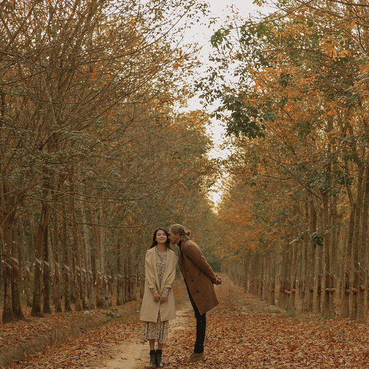 Cần gì đi Hàn, sát Sài Gòn cũng có nơi check-in lá vàng lãng mạn ‘rụng tim’ - 6